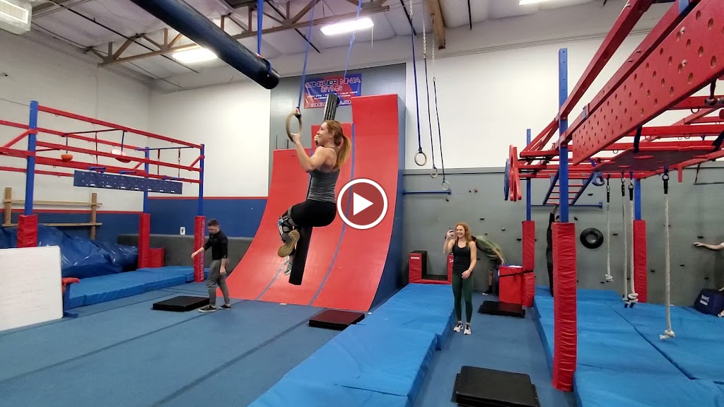  Conquer Ninja Gyms - Gilbert