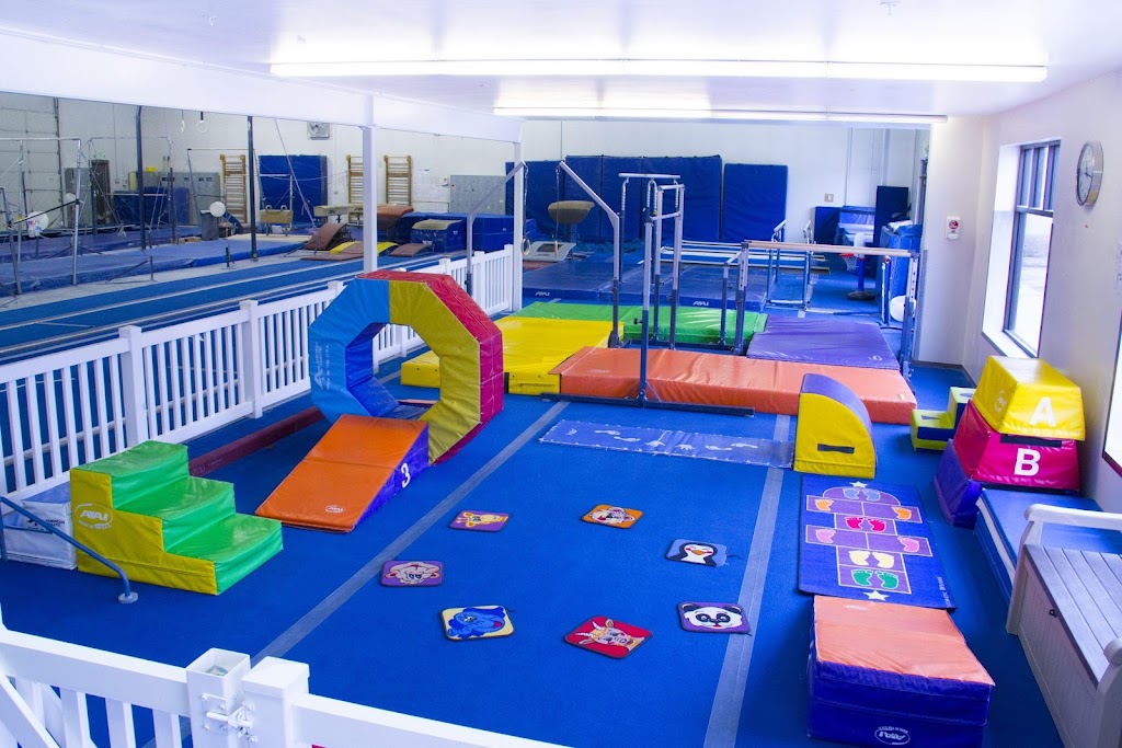  All American Gymnastics