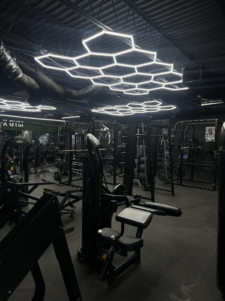  APE-X GYM