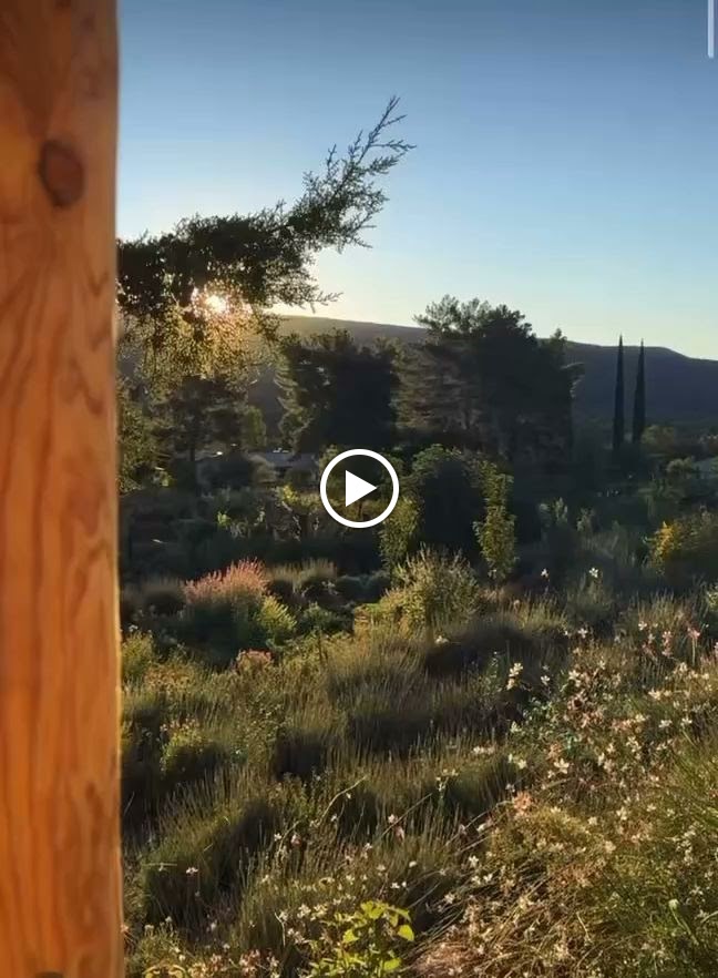  Inner Strength Alignment Studio