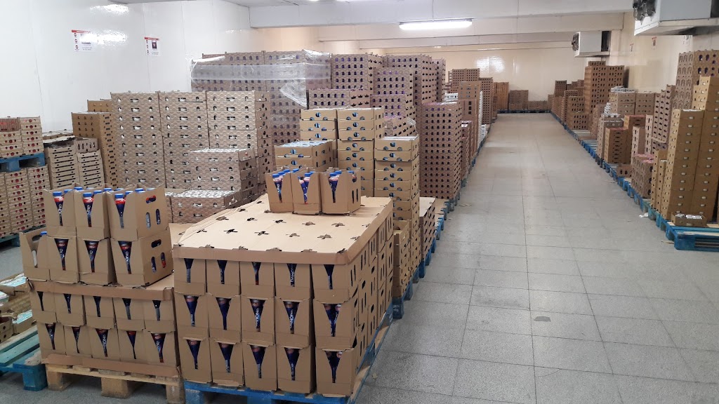 Reposiciones Juncaril - Transporte Frio