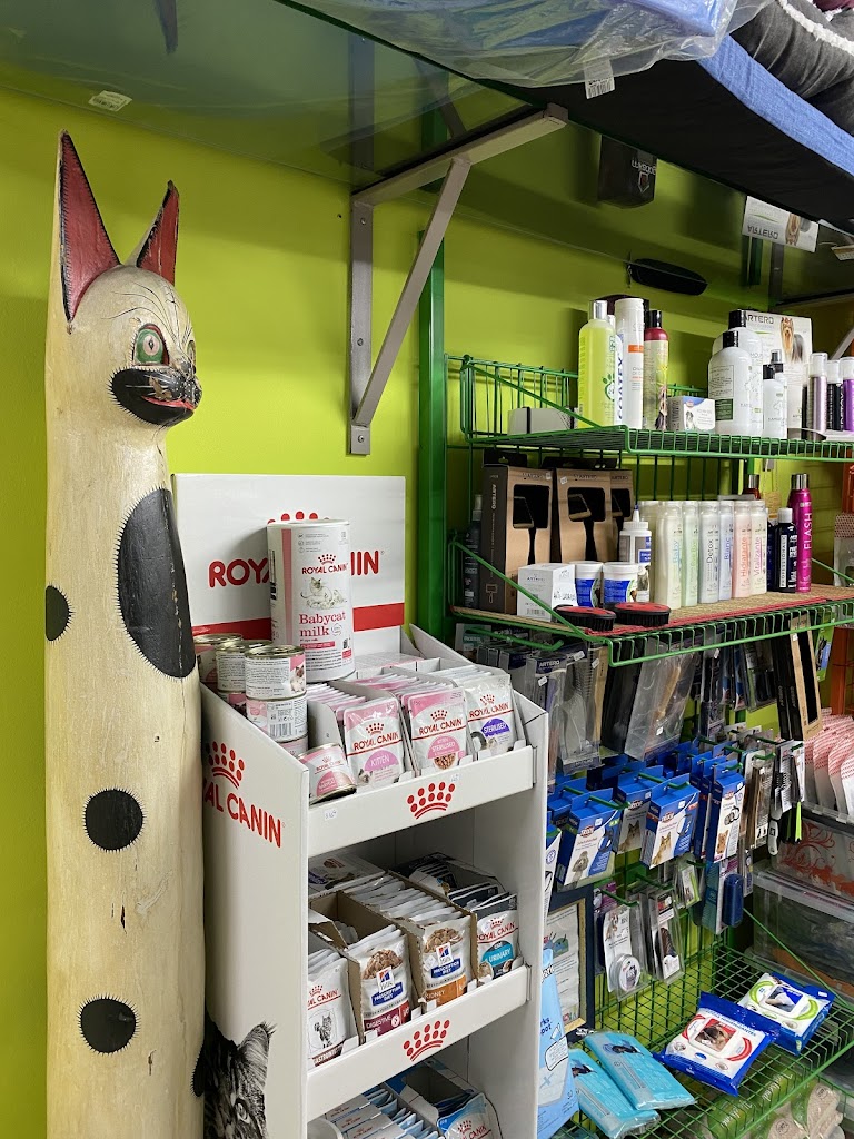Nagusi | Veterinario Hernani | Peluqueria canina Hernani