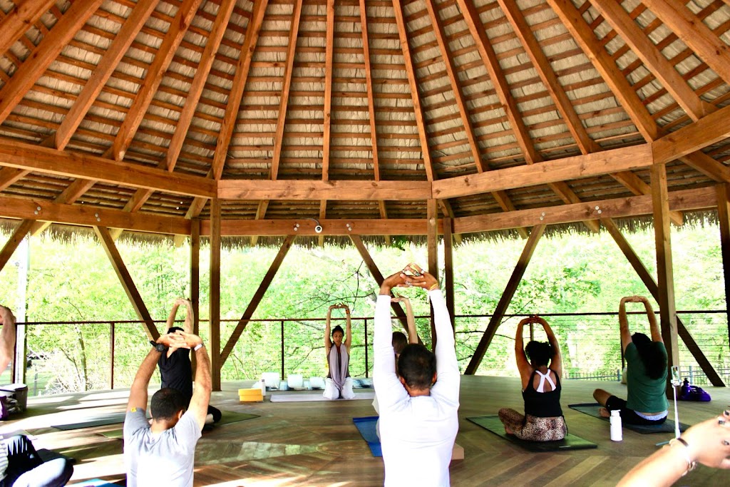  Flow Shala - Affinitee