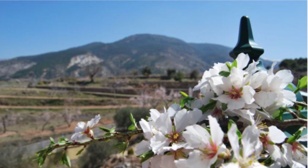 CASA DE CAMPO LA ENCINA