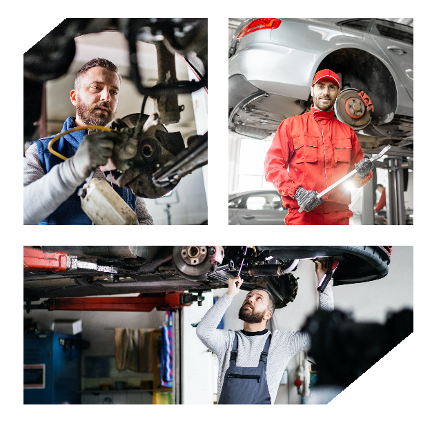 Vittoria Garage — Del propietario
