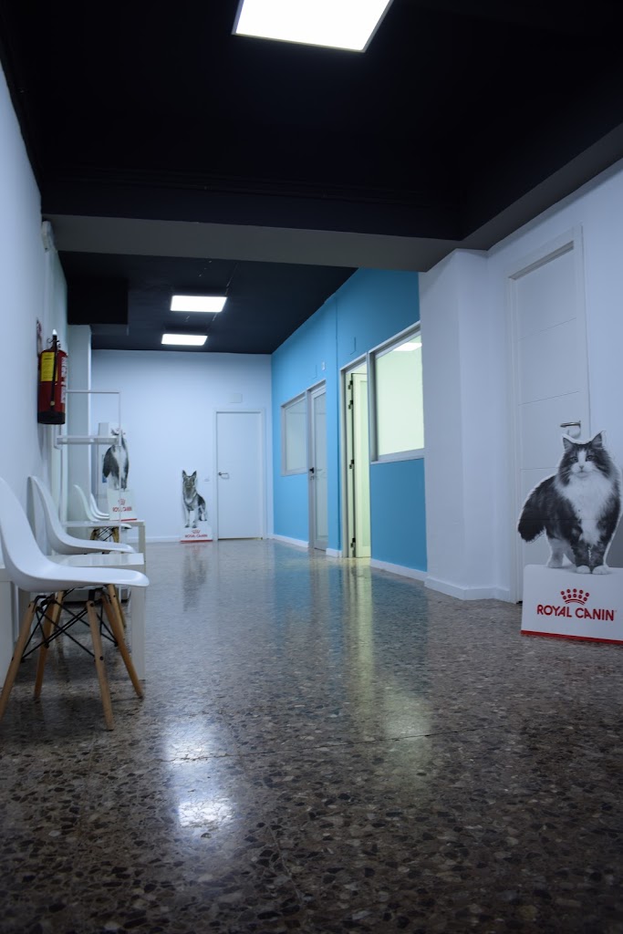 Clinica Veterinaria Vetmar — Del propietario