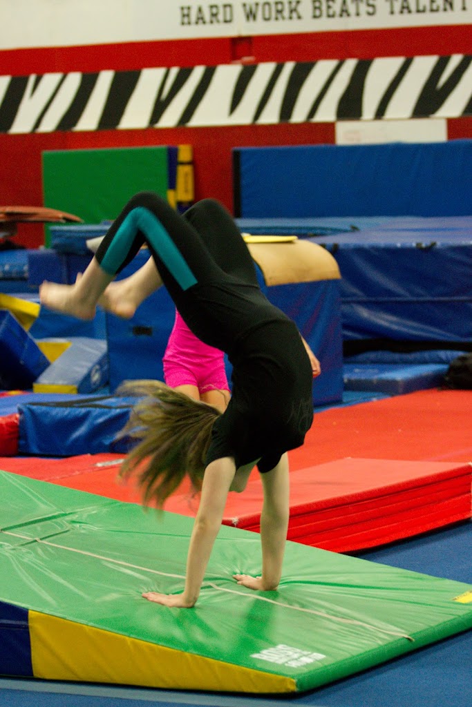  Midwest Training & Ice Center