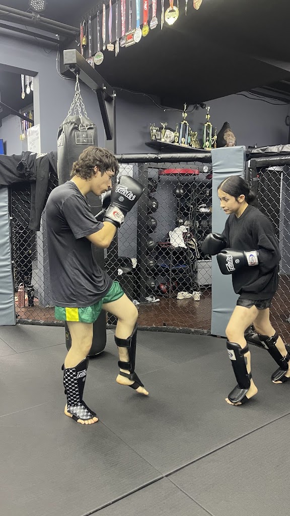  IB MMA Mixed Martial Arts