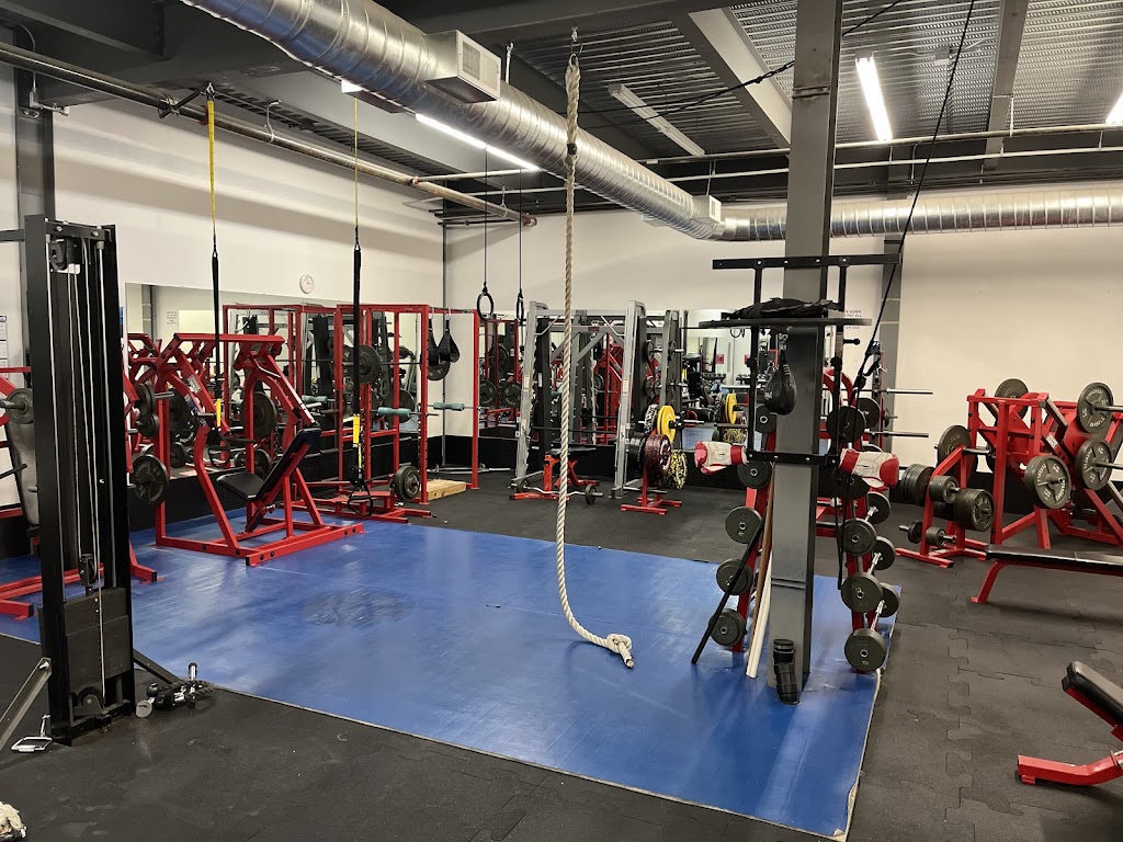  Island Strength and Movement