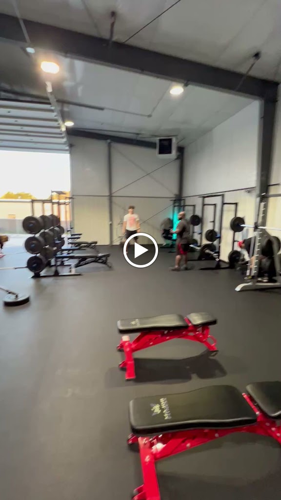  Gray Wolf Performance