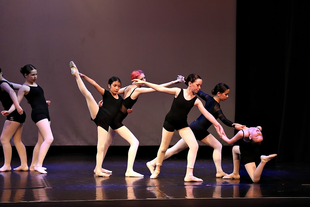  The Dancer Project Conservatory