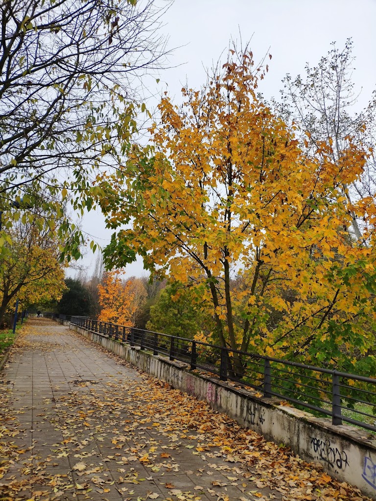 Colegio - Colexio Publico Campo de los Judios