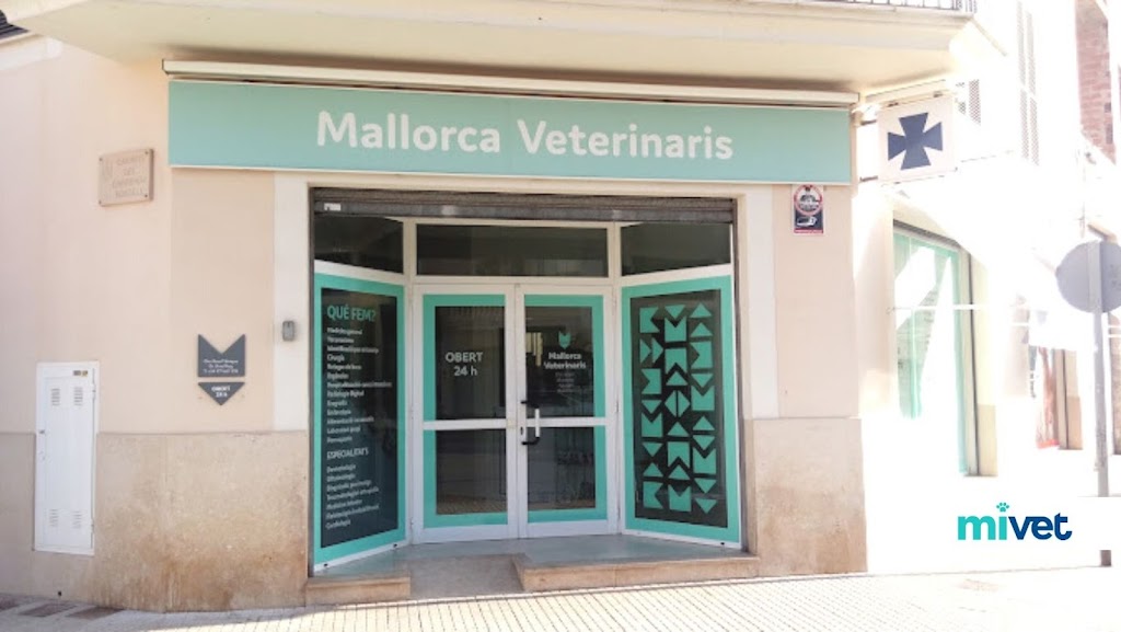 Clinica Veterinaria Llucmajor | MiVet
