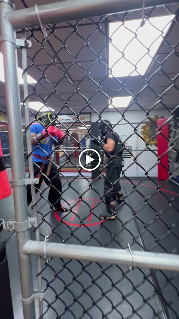  Universal Warrior Mixed Martial Arts