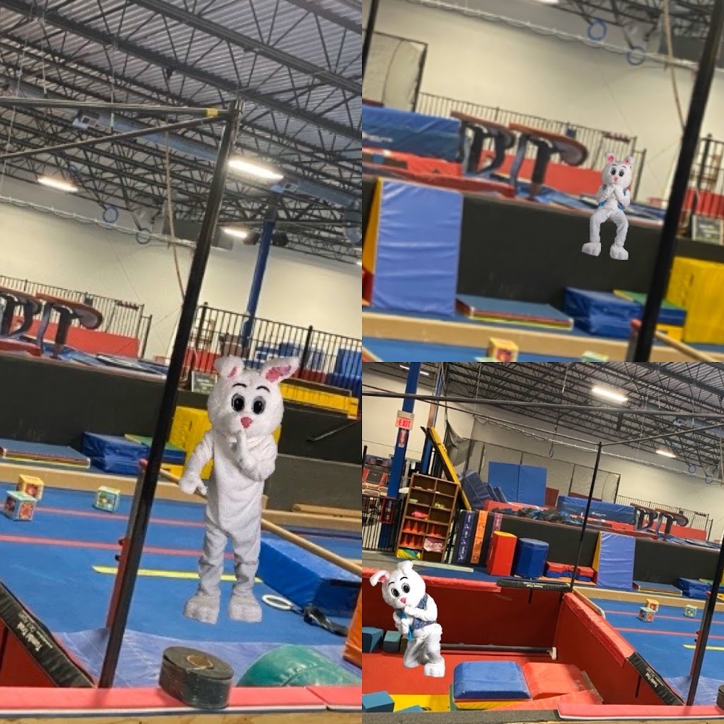  Naperville Gymnastics, Tumbling & Cheer