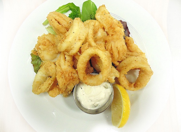 Squid