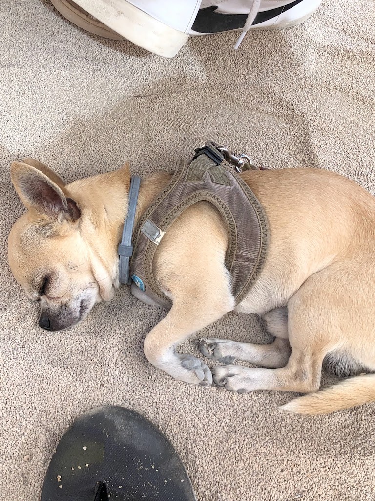 Restaurante Que Pasta C.B