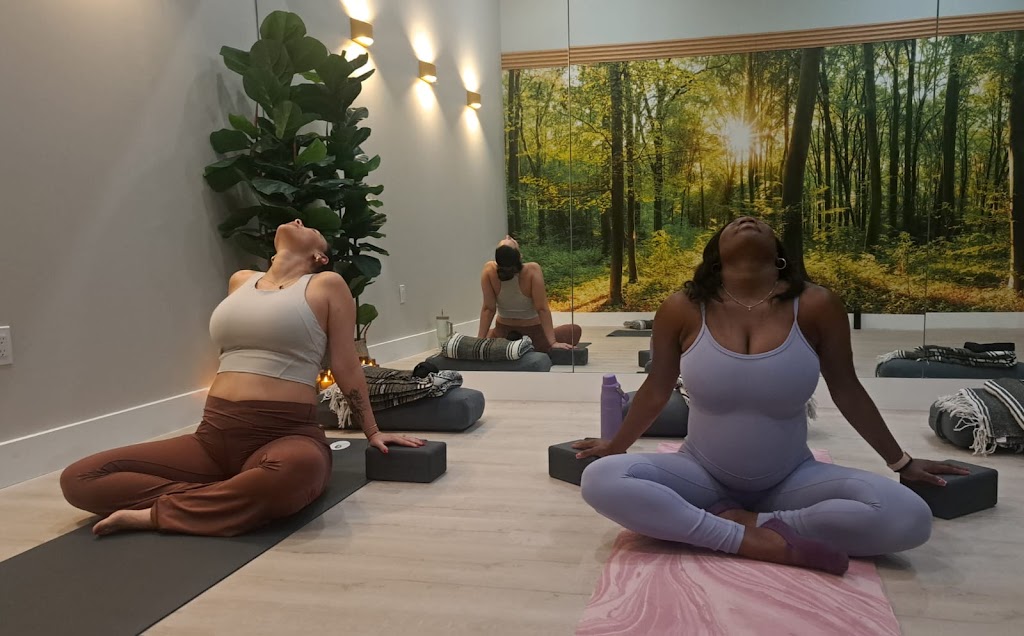  ZenVida Yoga & Fitness Studio