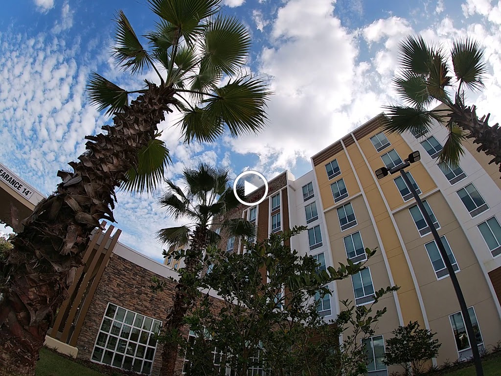 Hilton Garden Inn Tampa-Wesley Chapel - Hotel in Wesley Chapel , United States of America