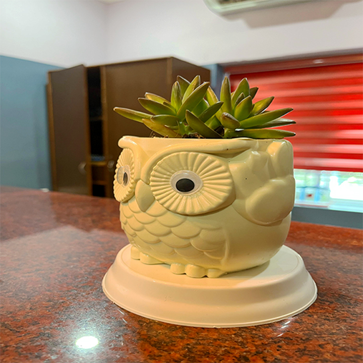 Food & drink