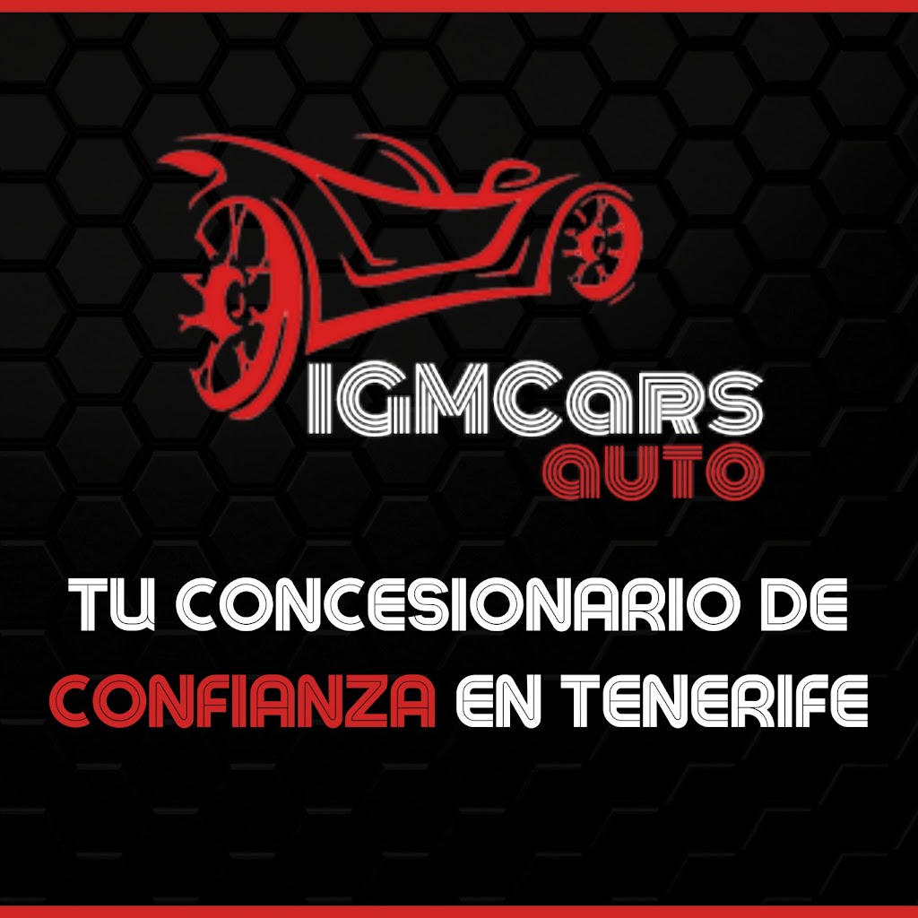 Igmcarsauto — Del propietario