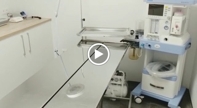 Clinica Veterinaria 9 d'Octubre — Del propietario