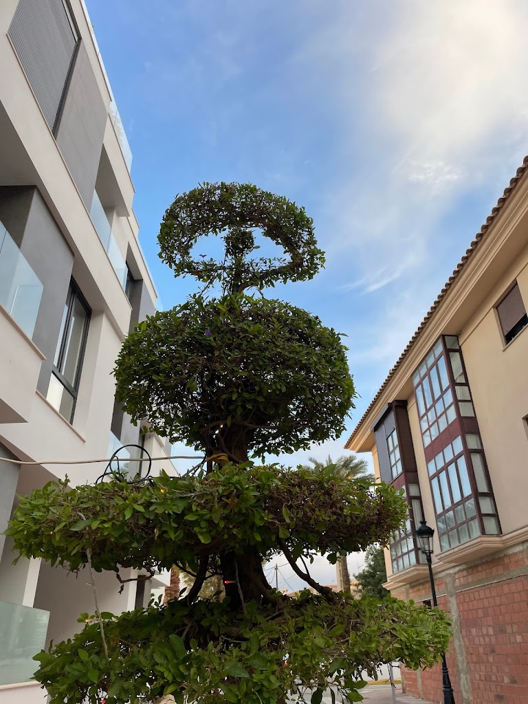 Escultura de jardineria Indalo
