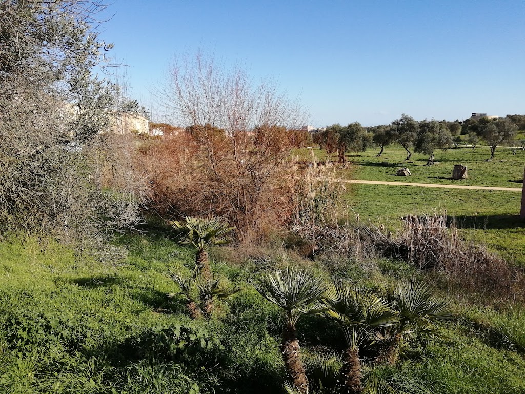 Parque de Perros el Zaudin