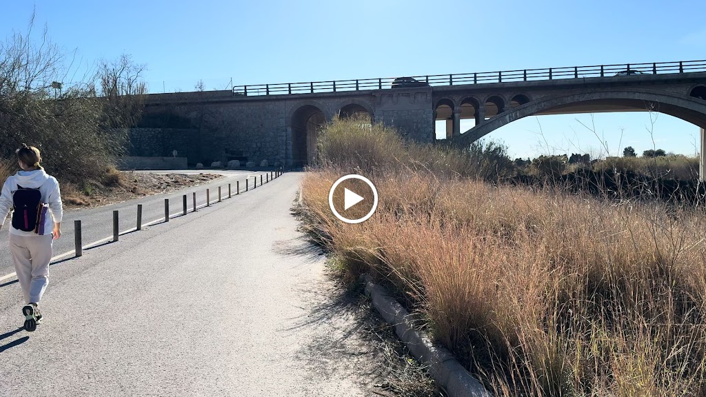 Antiguo puente