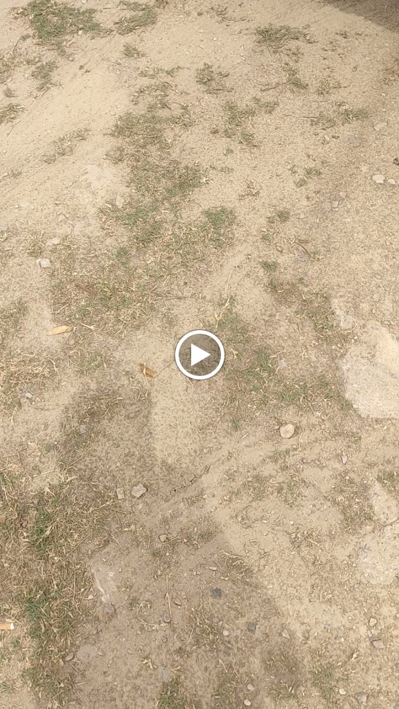 AUTOMOVILES CASIAN 24 SL — Videos