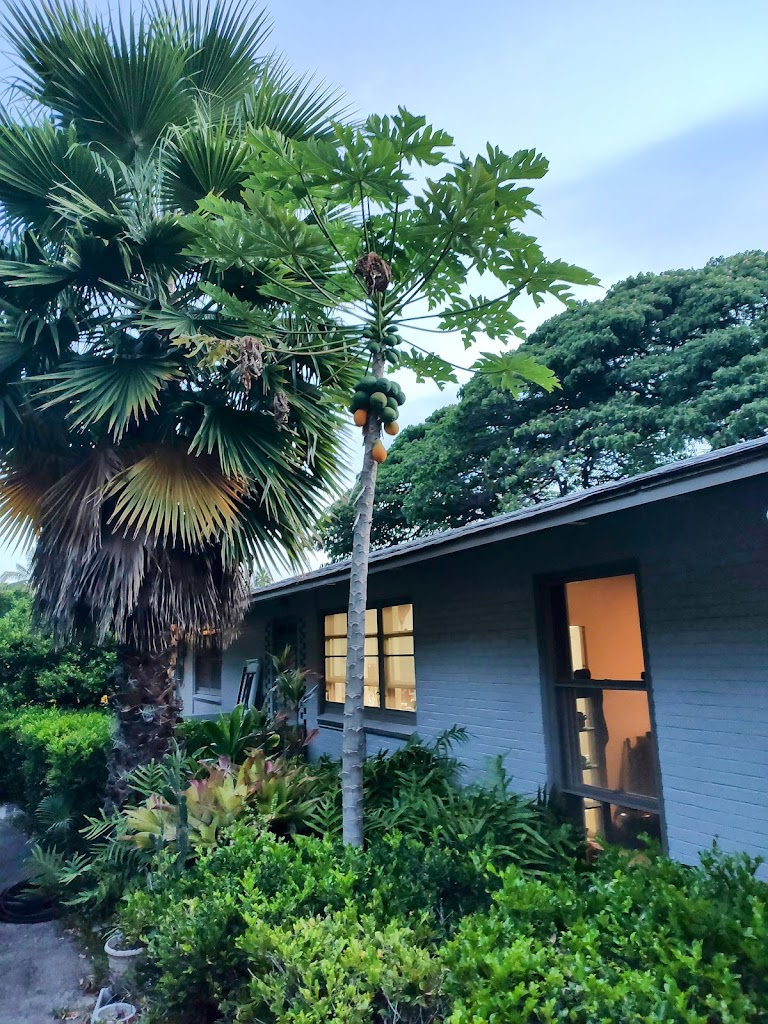 Diamond Head Bed & Breakfast