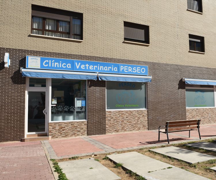 Clinica Veterinaria Perseo Mostoles — Del propietario