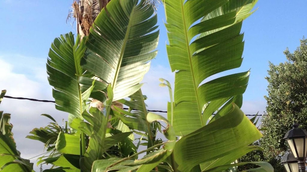 HIGOS CHUMBOS, Casa de huespedes COMPARTIDO