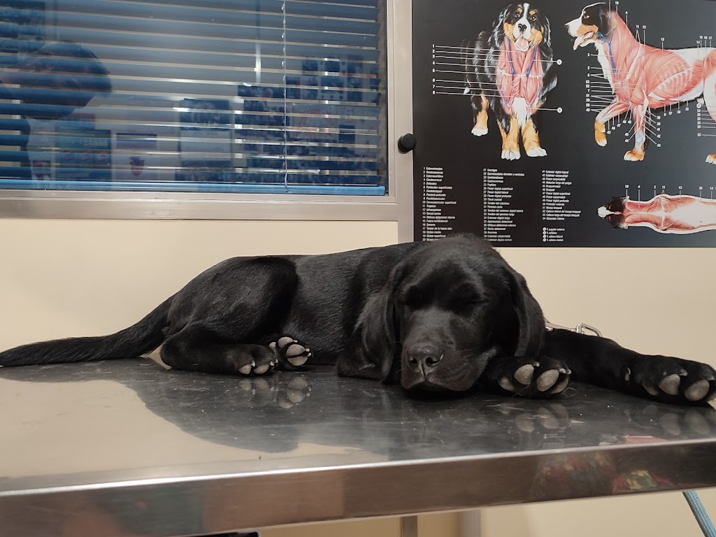Clinica Veterinaria Los Cantos