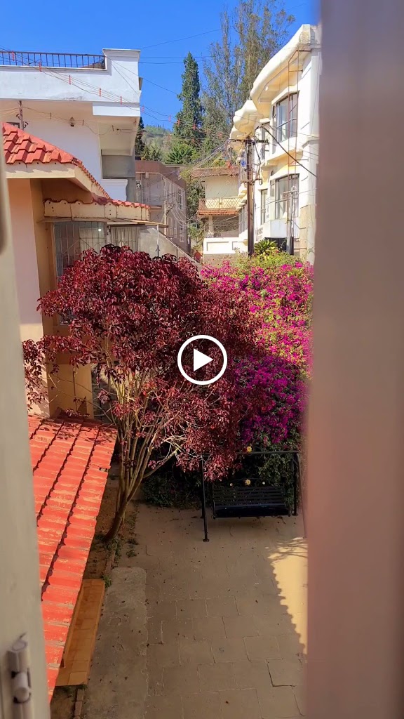 Videos