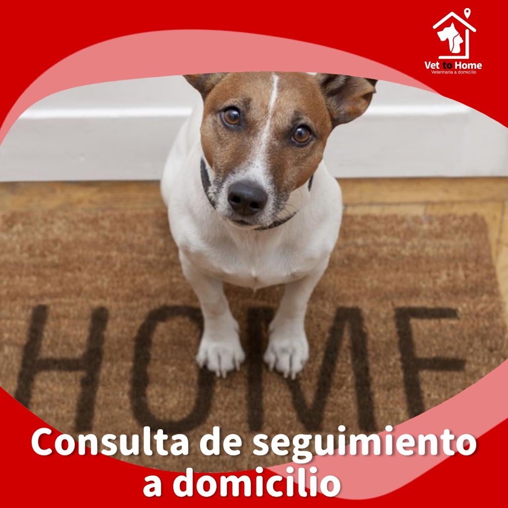 Vet to Home