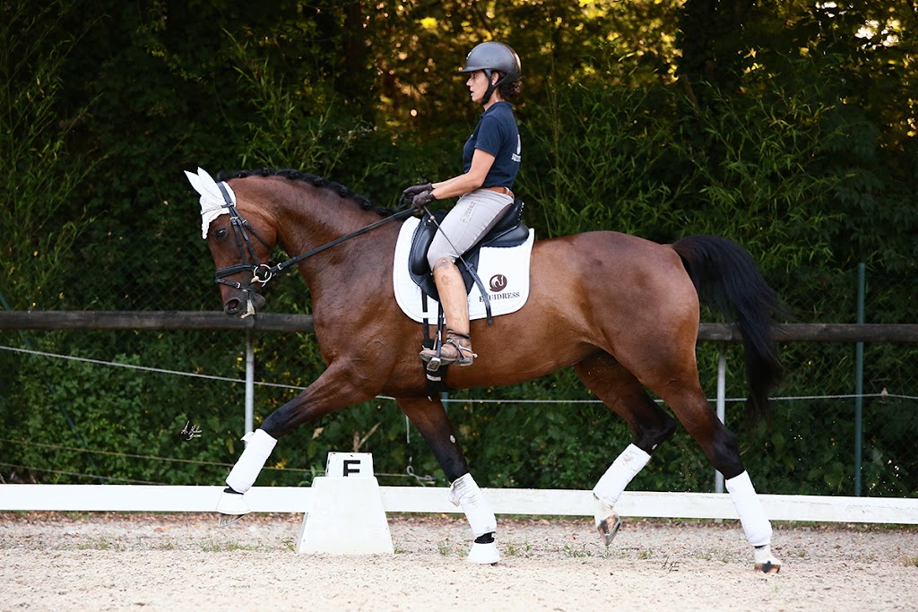 Equidress