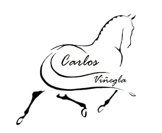 Centro Ecuestre Carlos Vinegla — Del propietario
