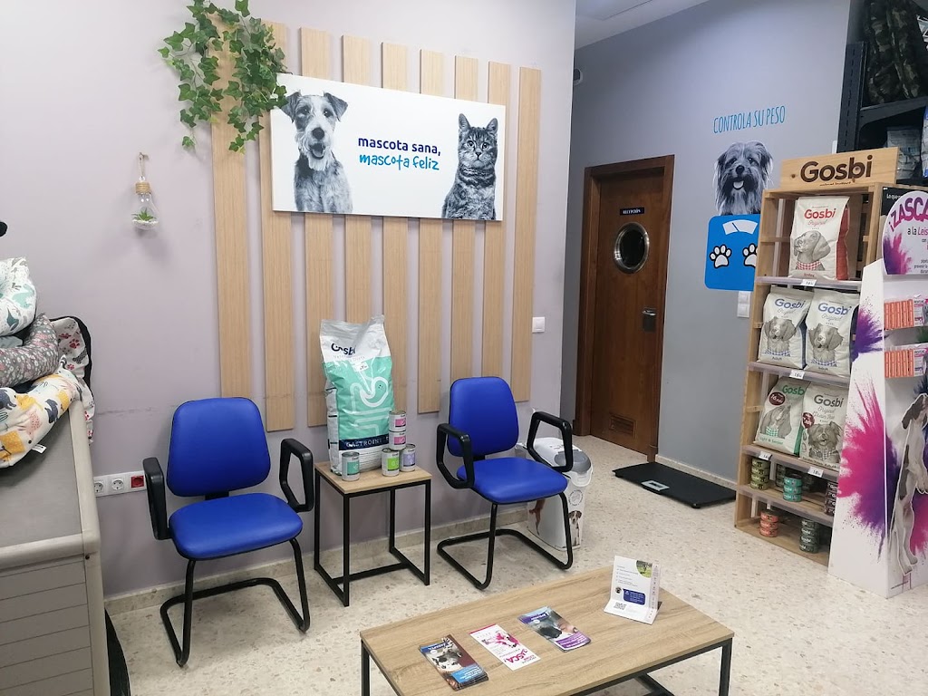 Clinica Veterinaria Avila Rota