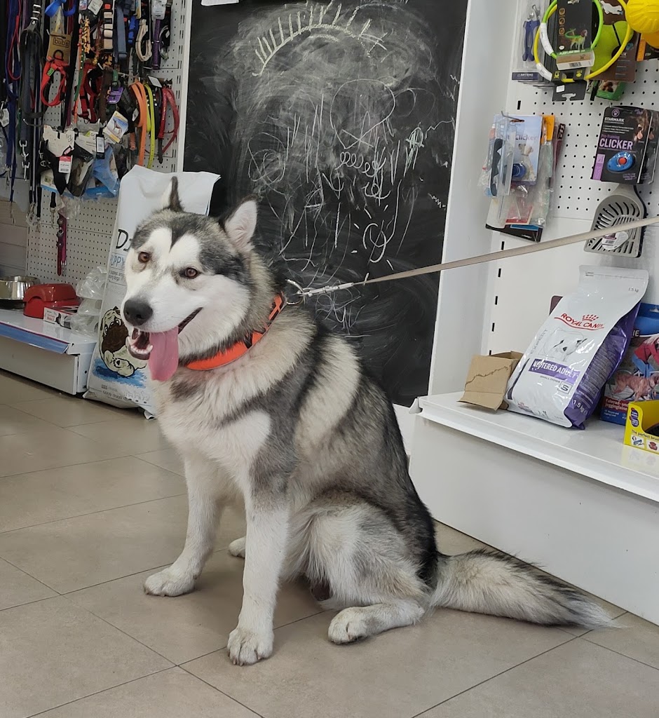 Albeitar Clinica Veterinaria — Del propietario