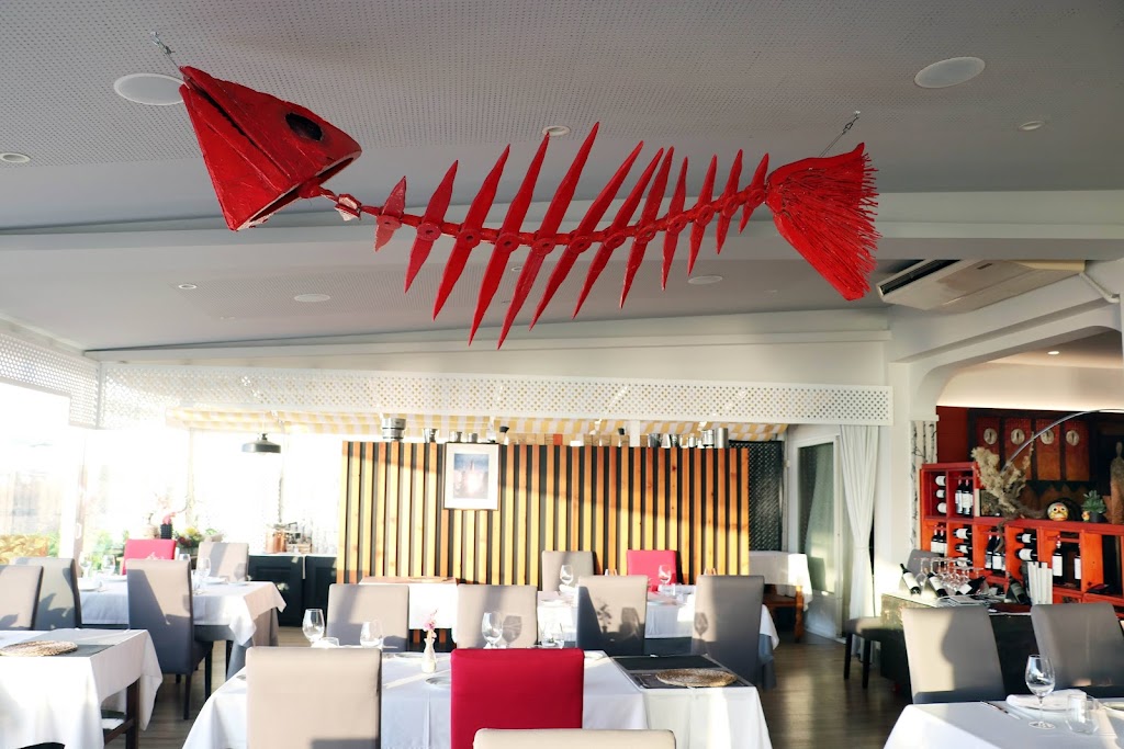 Restaurante Timon 2.0....