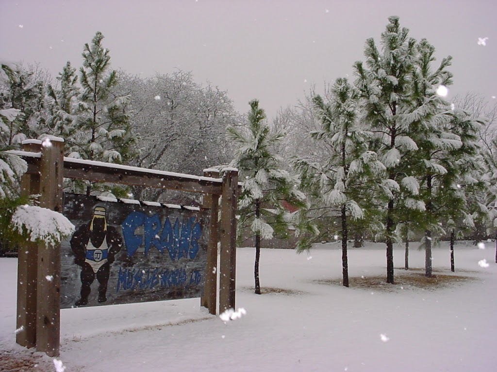  Crain's Muscle World