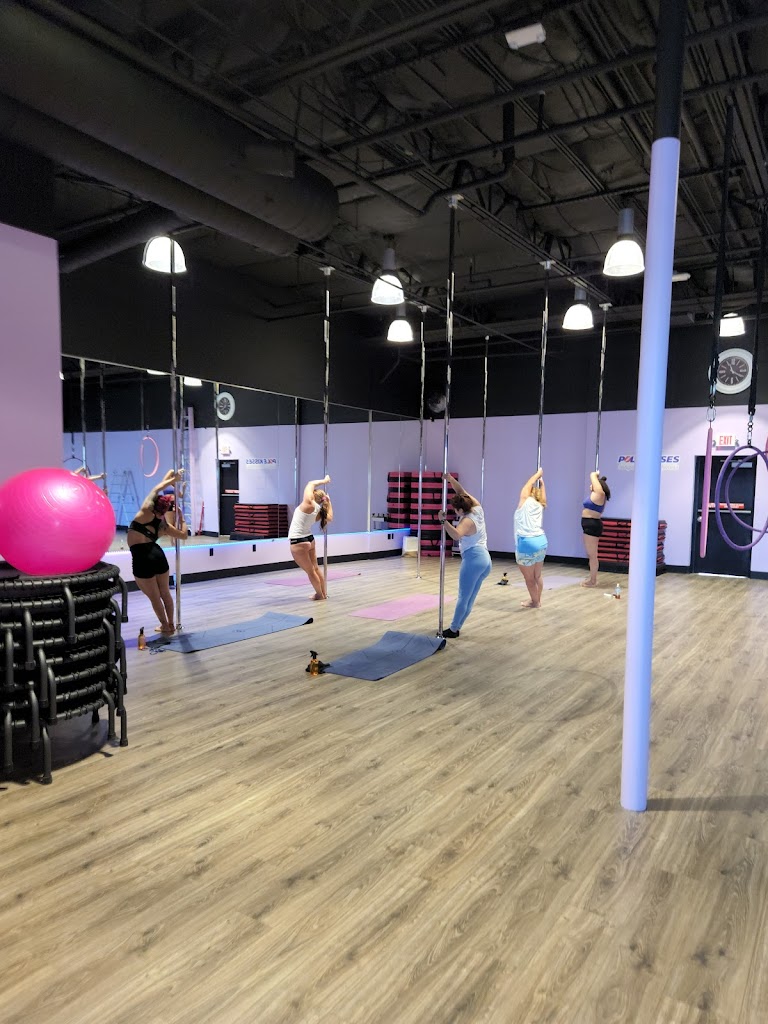  Pole Kisses, Bungee and Aerial Fitness