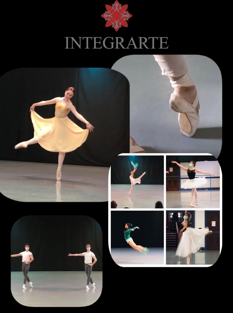  Integrarte