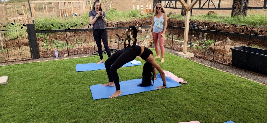  "The Only" Lahaina Goat Yoga 96761 Maui, HI