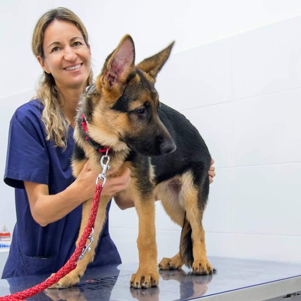Clinica Veterinaria Foners — Perro