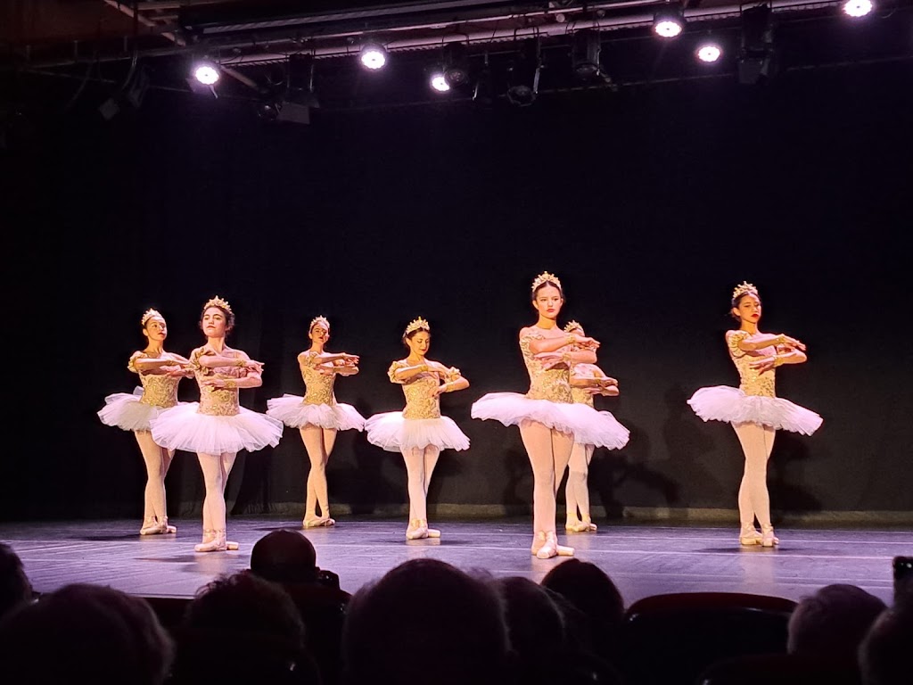 LA DANSE STUDIO KLASIQUE — Danza