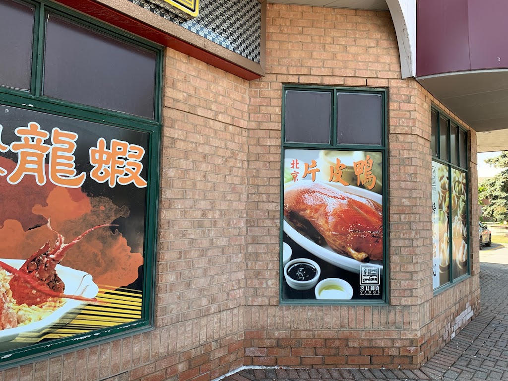 Yang's Fine Chinese Cuisine