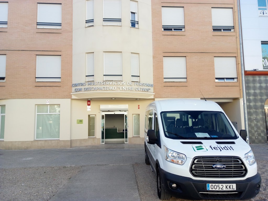 Centro Multiservicios De Personas Con Discapacidad "Entre Olivos"
