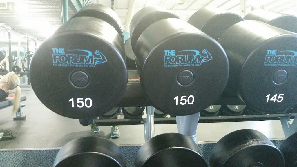  The Forum of Salisbury